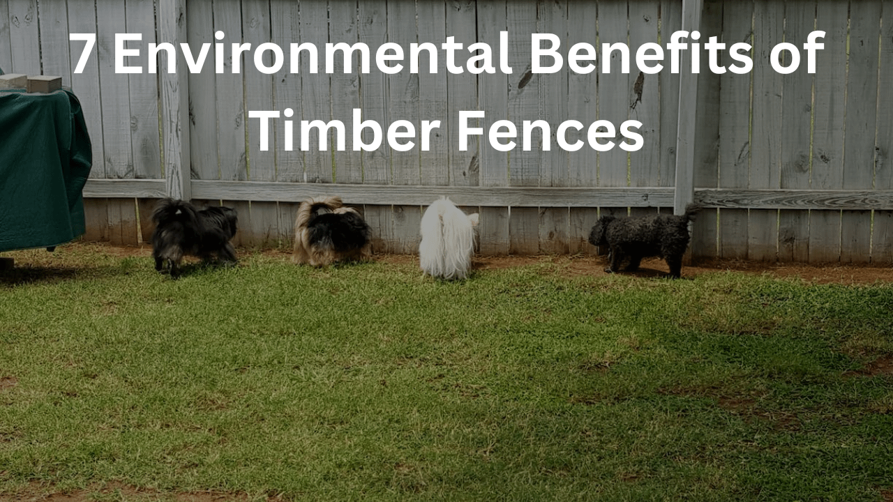 You are currently viewing The Environmental Benefits of Timber Fences: Why Wood is a Sustainable Choice